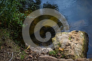 A tranquil river flows gently