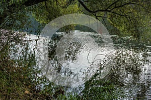 A tranquil river flows gently, its surface rippling with reflections of overhanging trees