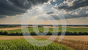 Tranquil Rural Landscape Rolling Fields Under Soft Cloudy Sky