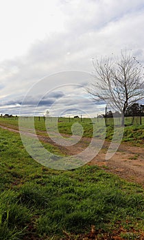 Tranquil rural landscape with a small village in the Robertson area in Australia