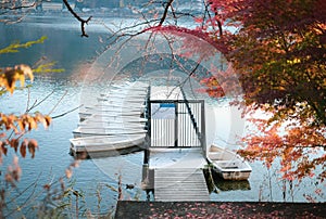 Tranquil scene of dock water and group of boats in autumn