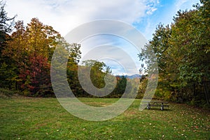 Tranquil scene with an empty picnic table in a clearing in a forest in autumn photo