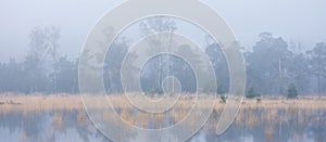 tranquil scene of flooded leersumseveld in dutch province of utrecht in misty morning light near utrecht