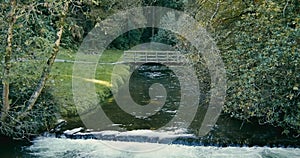 A tranquil scene of a flowing stream and surrounding nature. Kilbrittain Woods. pano