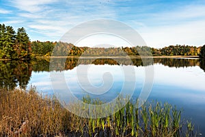 Tranquil scene with a lake with forested shored in autumn