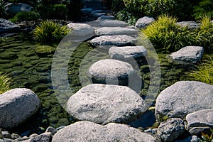 Tranquil scene of stepping stones crossing clear water in a zen garden