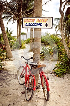 Tranquil scene with two bicycles, beach and palms
