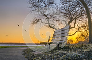 Tranquil Scenery with a Bench overlooking the Mississippi River in Rock Island, IL