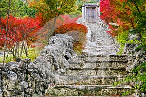 Tranquil Scenery of Japanese Shrine With Garden Near Stony Stairs and Seasonal Red Maple Trees At Fall in Japan