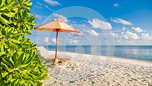 Tranquil scenery, relaxing beach, tropical landscape design. Summer vacation travel holiday design