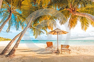 Beautiful beach. Chairs under palm trees sandy beach sea. Summer holiday and vacation concept for tourism. Inspirational beach