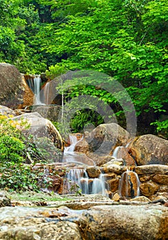 Tranquil scenery of a small creek cascade
