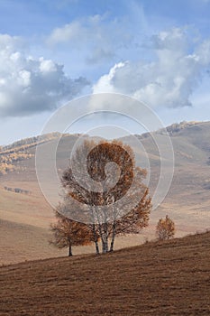 Tranquil scenery at a steppe in autumn colors, Mulan Weichang, inner Mongolia, China