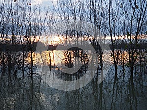 Tranquil scenery sunset at the Sava river, Sremska Macvanska Mitrovica, Serbia. Perfect reflection of trees and