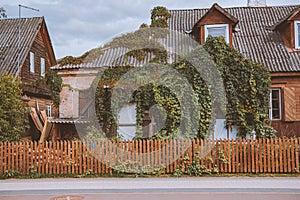 Tranquil scenery of a traditional rural house overgrown with plants behind a wooden fence