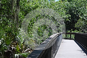 Tranquil setting in a nature preserve in Sarasota Florida