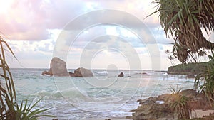 Tranquil Shoreline: Palm Trees and Surf Rocks by the Indian Ocean