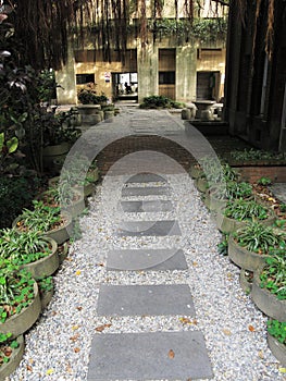 Tranquil straight garden path