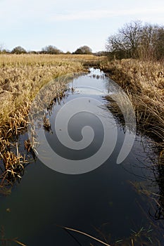 Tranquil Stream Surrounded with Light Brown Dead Grass.