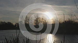 Tranquil Sunset over Frozen Lake with Silhouetted Trees