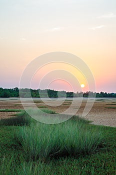 Tranquil sunset over wetland with green grass in rural area of Guinea Bissau, Africa