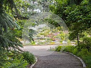 Tranquil trail through the Yampa River Botanic Park