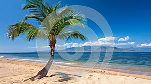 Tranquil tropical beach, distant island, ideal for travel and vacation, serene paradise view