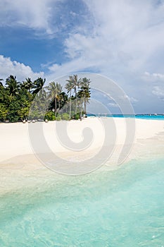 Tranquil tropical beach. Palm trees and white sand under blue sky. Exotic coast view, vertical beach banner. Summer travel