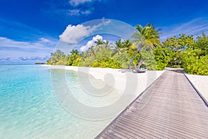 Tropical paradise island shore, wooden pier pathway into palm tree forest white sand, blue sunny sky. Exotic vacation landscape