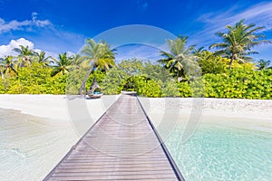 Tropical paradise island shore, wooden pier pathway into palm tree forest white sand, blue sunny sky. Exotic vacation landscape