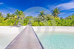 Tropical paradise island shore, wooden pier pathway into palm tree forest white sand, blue sunny sky. Exotic vacation landscape