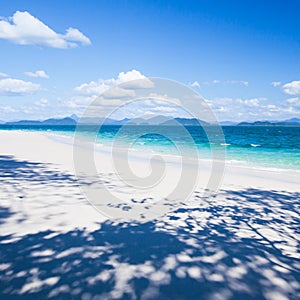 A tranquil tropical seascape on summer sunny, fantastic shadow of trees on pure sand beach