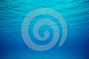 Tranquil underwater scene with copy space