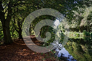 A tranquil view of the River Stort at Harlow, Essex.