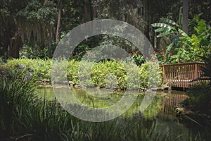 Tranquil walking bridge over water with a border of plush green grass and plant life reflecting in the pond.