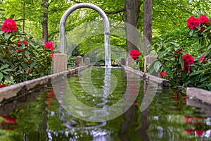 Tranquil water feature in a lush Beautiful green woodland garden with dense foliage