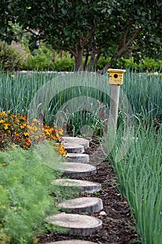 Tranquil, well stocked garden, with a variety of plants and a yellow bird house at the end of the path.