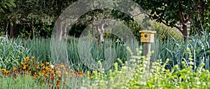 Tranquil, well stocked garden with a variety of plants, and yellow bird house at the end of the path.