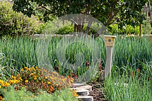 Tranquil, well stocked garden and a yellow bird house at the end of the path at Babelstoren Wine Estate, South Africa