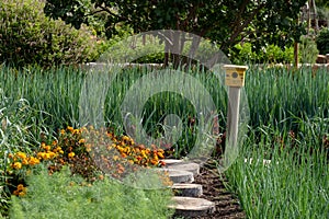 Tranquil, well stocked garden and a yellow bird house at the end of the path at Babelstoren Wine Estate, South Africa