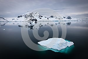 Pacífico flotante en bahía Antártida 