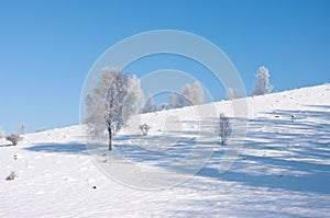 Tranquil winter scene