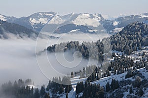 Tranquil winter scene of a snow-covered valley, with tall trees and clouds hovering over