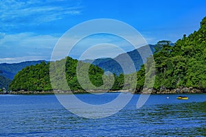 Tranquility of beach with lush green trees over a sandy beach. In the background, there is a blue sky with white clouds.