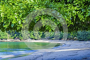 Tranquility of beach with lush green trees over a sandy beach. In the background, there is a blue sky with white clouds.