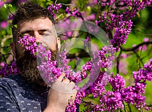 Tranquility concept. Hipster enjoys aroma of violet blossom. Man with beard and mustache on peaceful face near flowers