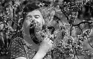 Tranquility concept. Man with beard and mustache on peaceful face near flowers on sunny day. Hipster enjoys aroma of