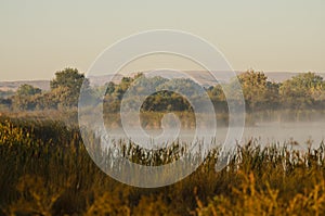 Tranquility on a Golden Autumn Morning in the Marsh