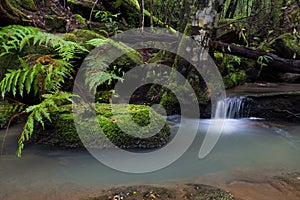 Tranquility is listening to the cascading of mountain stream