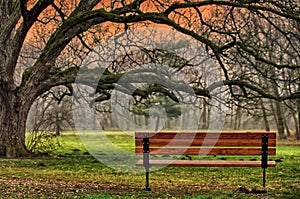 Autumn landscape. The tranquility of the park. Romantic and peaceful place. Autumn background photo